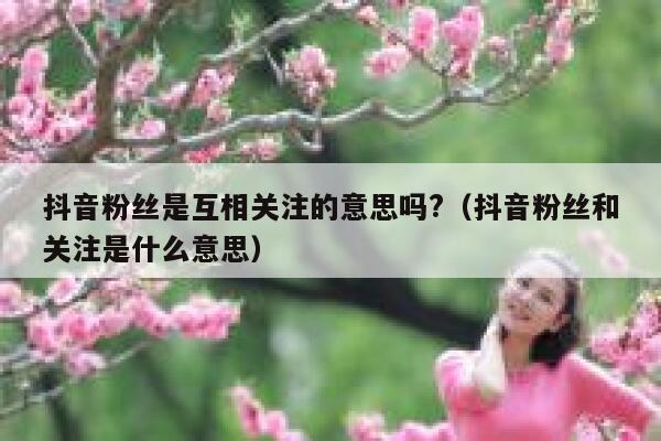 抖音粉丝是互相关注的意思吗?（抖音粉丝和关注是什么意思） 第1张