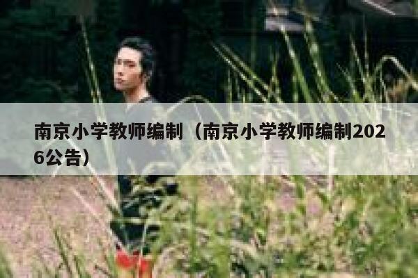 南京小学教师编制(南京小学教师编制2026公告) 第1张 南京小学教师编制(南京小学教师编制2026公告) 第1张