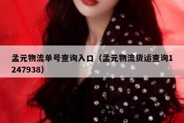 孟元物流单号查询入口（孟元物流货运查询1247938） 第1张