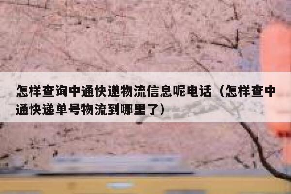 怎样查询中通快递物流信息呢电话（怎样查中通快递单号物流到哪里了） 第1张