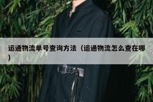 运通物流单号查询方法(运通物流怎么查在哪) 第1张 运通物流单号查询方法(运通物流怎么查在哪) 第1张
