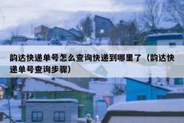韵达快递单号怎么查询快递到哪里了(韵达快递单号查询步骤) 第1张 韵达快递单号怎么查询快递到哪里了(韵达快递单号查询步骤) 第1张