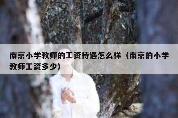 南京小学教师的工资待遇怎么样（南京的小学教师工资多少） 第1张