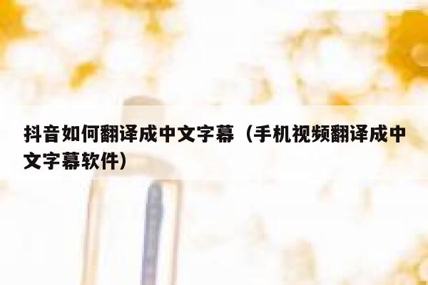 抖音如何翻译成中文字幕（手机视频翻译成中文字幕软件） 第1张