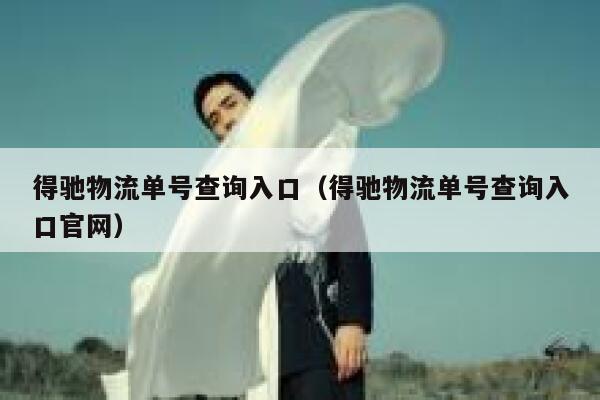 得驰物流单号查询入口（得驰物流单号查询入口官网） 第1张