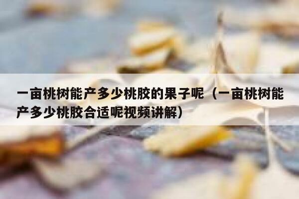 一亩桃树能产多少桃胶的果子呢（一亩桃树能产多少桃胶合适呢视频讲解） 第1张