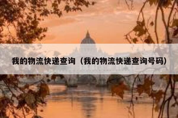 我的物流快递查询（我的物流快递查询号码） 第1张