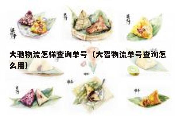 大驰物流怎样查询单号（大智物流单号查询怎么用） 第1张