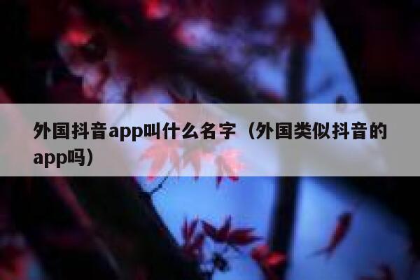 外国抖音app叫什么名字(外国类似抖音的app吗) 第1张 外国抖音app叫什么名字(外国类似抖音的app吗) 第1张