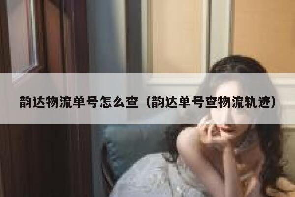 韵达物流单号怎么查（韵达单号查物流轨迹） 第1张