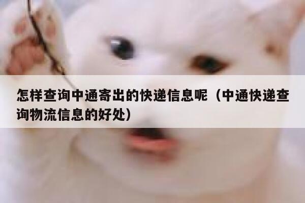 怎样查询中通寄出的快递信息呢（中通快递查询物流信息的好处） 第1张