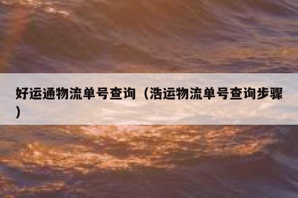 好运通物流单号查询（浩运物流单号查询步骤） 第1张
