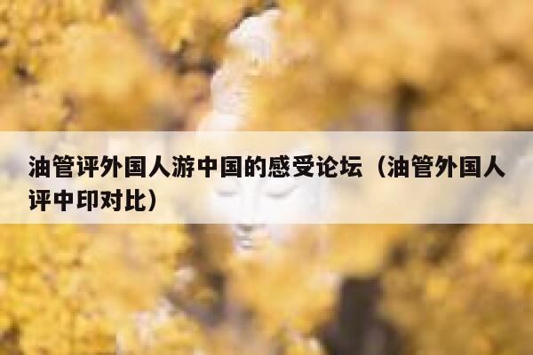 油管评外国人游中国的感受论坛（油管外国人评中印对比） 第1张
