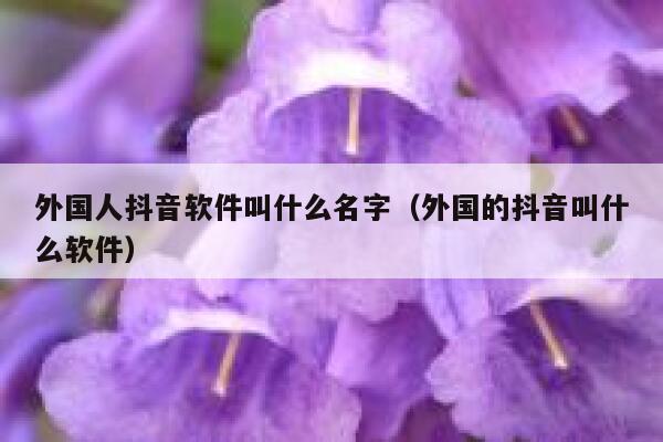 外国人抖音软件叫什么名字（外国的抖音叫什么软件） 第1张