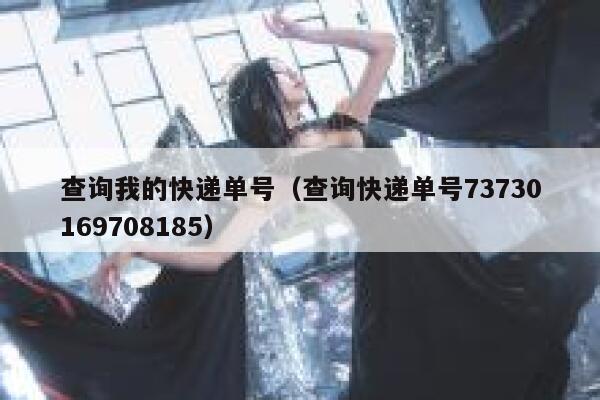 查询我的快递单号(查询快递单号73730169708185) 第1张 查询我的快递单号(查询快递单号73730169708185) 第1张