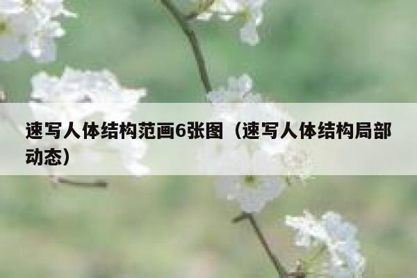 速写人体结构范画6张图（速写人体结构局部动态） 第1张