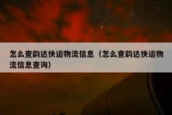 怎么查韵达快运物流信息（怎么查韵达快运物流信息查询） 第1张