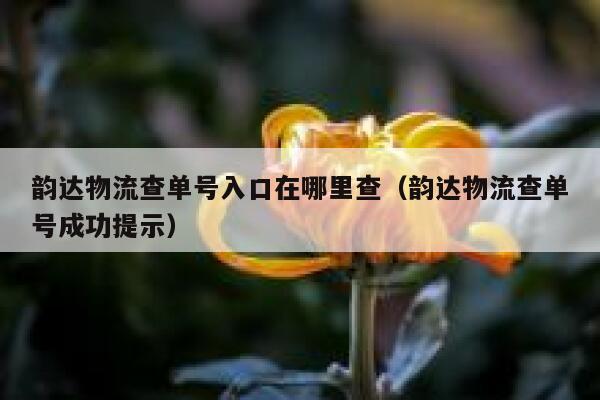 韵达物流查单号入口在哪里查（韵达物流查单号成功提示） 第1张