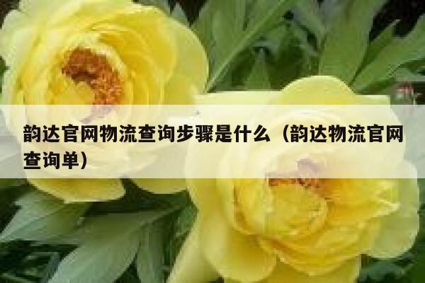 韵达官网物流查询步骤是什么（韵达物流官网查询单） 第1张