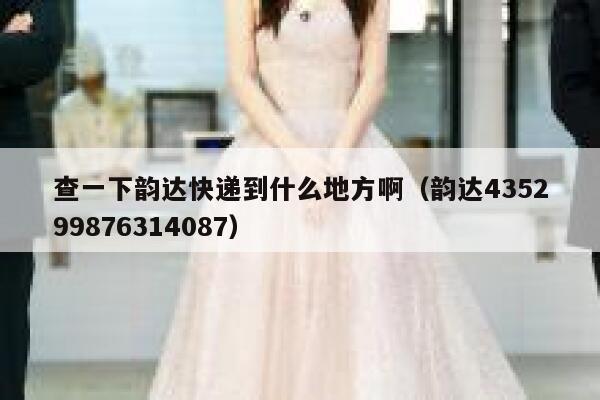 查一下韵达快递到什么地方啊(韵达435299876314087) 第1张 查一下韵达快递到什么地方啊(韵达435299876314087) 第1张