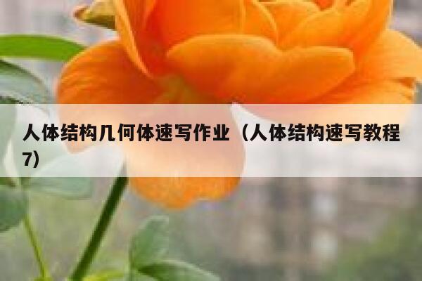 人体结构几何体速写作业(人体结构速写教程7) 第1张 人体结构几何体速写作业(人体结构速写教程7) 第1张