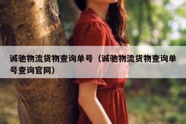 诚驰物流货物查询单号(诚驰物流货物查询单号查询官网) 第1张 诚驰物流货物查询单号(诚驰物流货物查询单号查询官网) 第1张