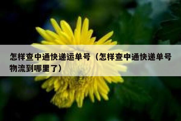 怎样查中通快递运单号（怎样查中通快递单号物流到哪里了） 第1张