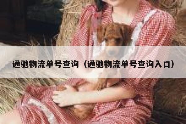 通驰物流单号查询（通驰物流单号查询入口） 第1张
