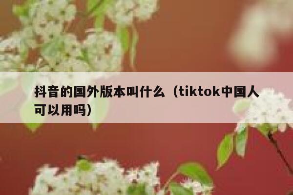 抖音的国外版本叫什么（tiktok中国人可以用吗） 第1张
