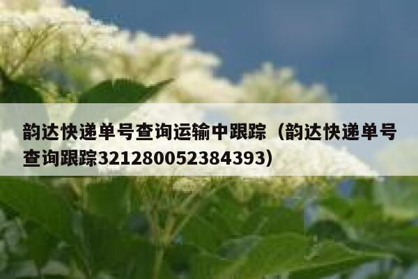 韵达快递单号查询运输中跟踪（韵达快递单号查询跟踪321280052384393） 第1张