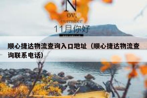 顺心捷达物流查询入口地址（顺心捷达物流查询联系电话） 第1张
