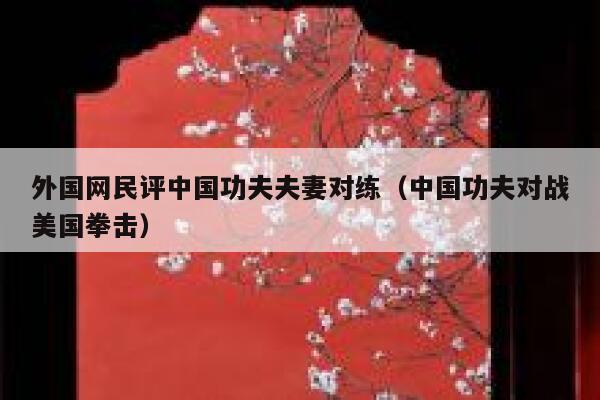 外国网民评中国功夫夫妻对练（中国功夫对战美国拳击） 第1张