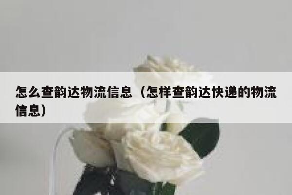 怎么查韵达物流信息(怎样查韵达快递的物流信息) 第1张 怎么查韵达物流信息(怎样查韵达快递的物流信息) 第1张