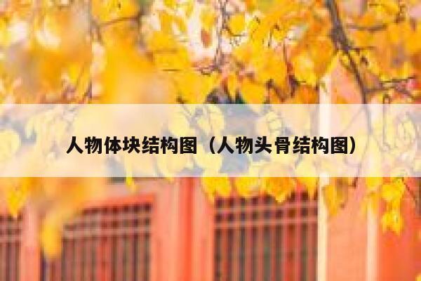 人物体块结构图(人物头骨结构图) 第1张 人物体块结构图(人物头骨结构图) 第1张