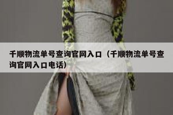 千顺物流单号查询官网入口（千顺物流单号查询官网入口电话） 第1张