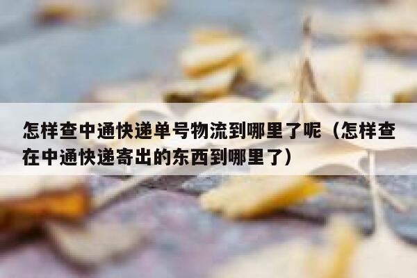 怎样查中通快递单号物流到哪里了呢(怎样查在中通快递寄出的东西到哪里了) 第1张 怎样查中通快递单号物流到哪里了呢(怎样查在中通快递寄出的东西到哪里了) 第1张