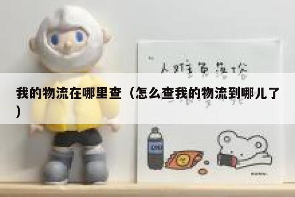 我的物流在哪里查（怎么查我的物流到哪儿了） 第1张