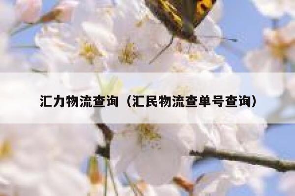 汇力物流查询（汇民物流查单号查询） 第1张