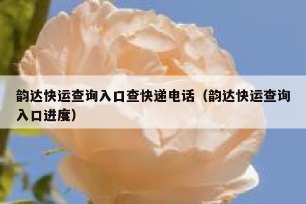 韵达快运查询入口查快递电话(韵达快运查询入口进度) 第1张 韵达快运查询入口查快递电话(韵达快运查询入口进度) 第1张