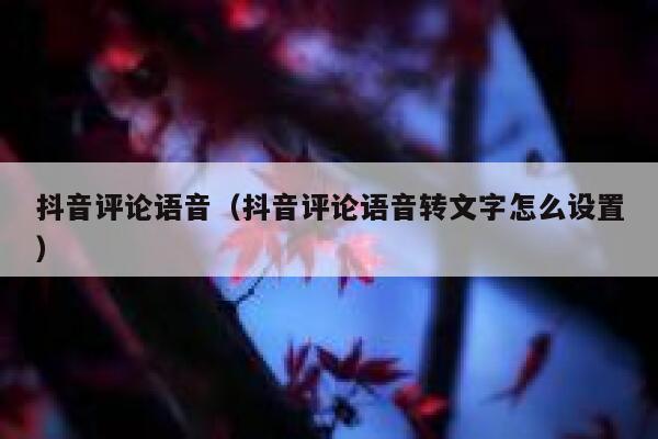 抖音评论语音（抖音评论语音转文字怎么设置） 第1张