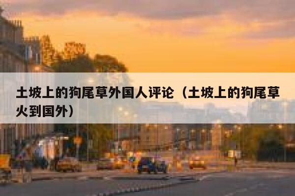 土坡上的狗尾草外国人评论（土坡上的狗尾草火到国外） 第1张