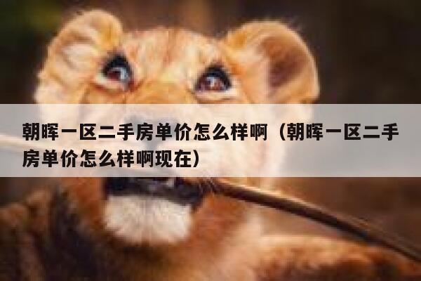 朝晖一区二手房单价怎么样啊(朝晖一区二手房单价怎么样啊现在) 第1张 朝晖一区二手房单价怎么样啊(朝晖一区二手房单价怎么样啊现在) 第1张