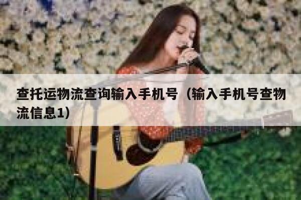 查托运物流查询输入手机号（输入手机号查物流信息1） 第1张
