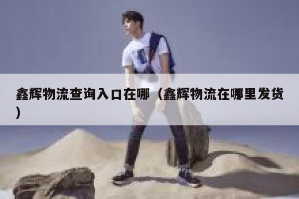 鑫辉物流查询入口在哪（鑫辉物流在哪里发货） 第1张