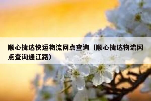 顺心捷达快运物流网点查询（顺心捷达物流网点查询通江路） 第1张