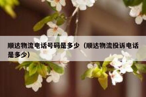 顺达物流电话号码是多少(顺达物流投诉电话是多少) 第1张 顺达物流电话号码是多少(顺达物流投诉电话是多少) 第1张