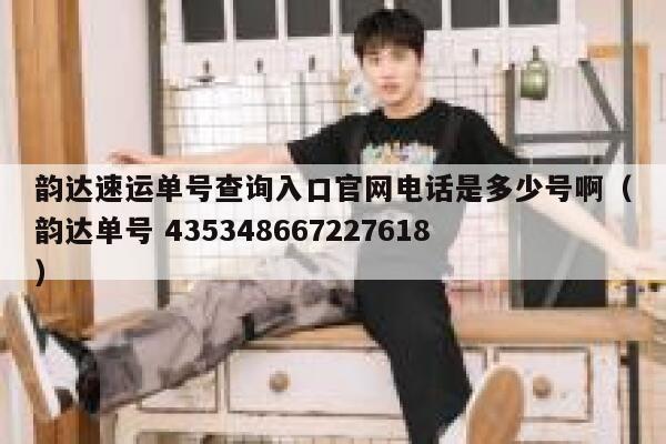 韵达速运单号查询入口官网电话是多少号啊（韵达单号 435348667227618） 第1张