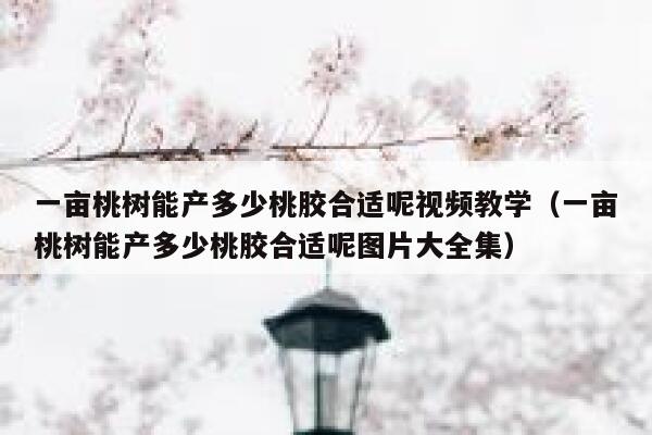 一亩桃树能产多少桃胶合适呢视频教学（一亩桃树能产多少桃胶合适呢图片大全集） 第1张
