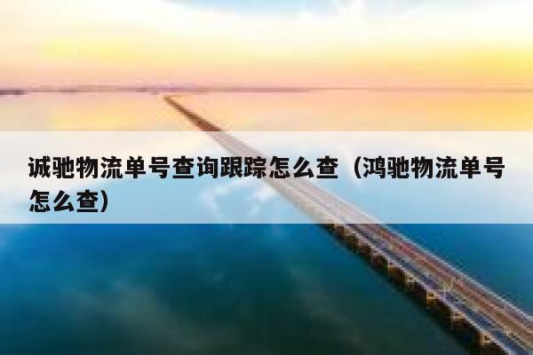 诚驰物流单号查询跟踪怎么查(鸿驰物流单号怎么查) 第1张 诚驰物流单号查询跟踪怎么查(鸿驰物流单号怎么查) 第1张
