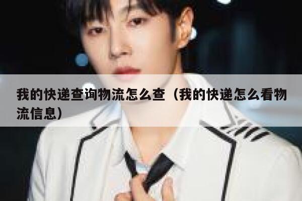 我的快递查询物流怎么查（我的快递怎么看物流信息） 第1张